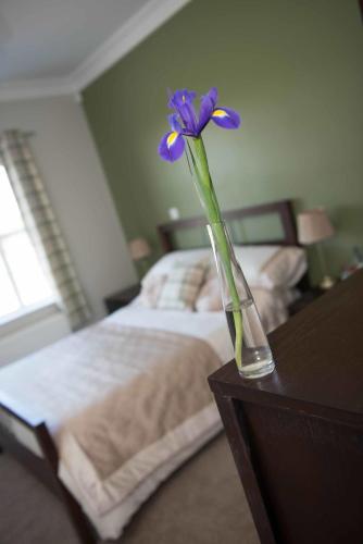 a vase with a purple flower in a bedroom at Dunagree Bed & Breakfast in Greencastle