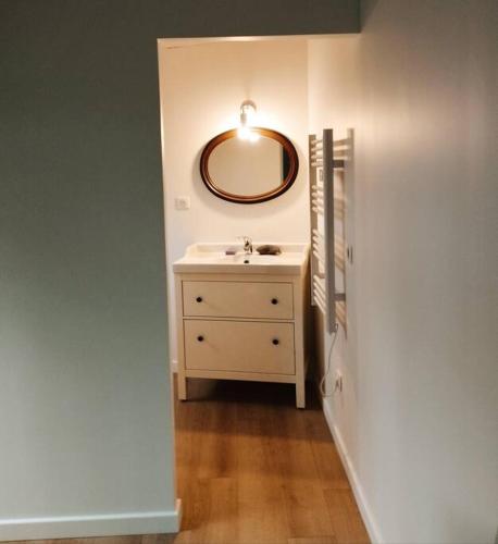 une salle de bain avec un lavabo et un miroir au mur dans l'établissement Chambre indépendante avec SDB sur jardin, au calme, à Nantes