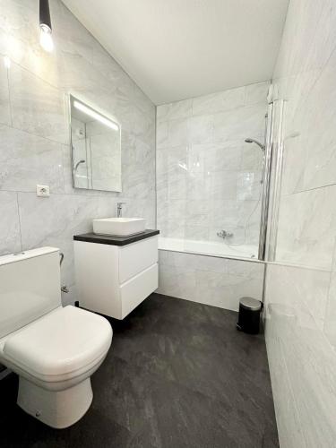La salle de bains est pourvue de toilettes, d'un lavabo et d'une douche. dans l'établissement Aux portes de Strasbourg, à Mundolsheim