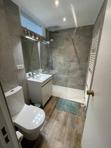W łazience znajduje się toaleta, prysznic i umywalka. w obiekcie Appartement • Six Fours Les plages w mieście Six-Fours-les-Plages