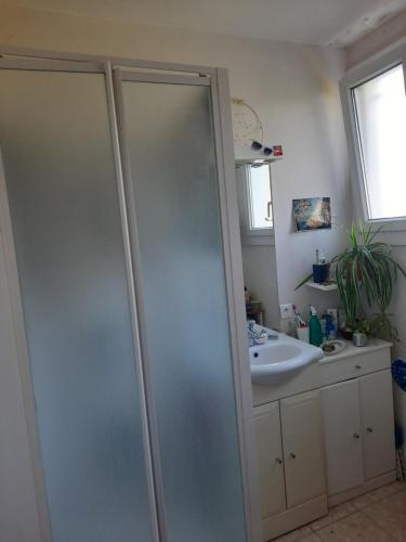 uma casa de banho com um chuveiro e um lavatório. em Family home proche circuit em Le Mans