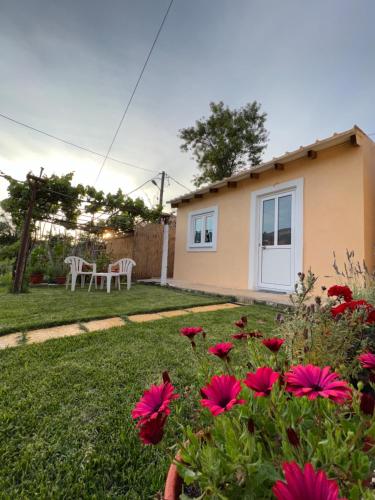 Vasiliki Little House