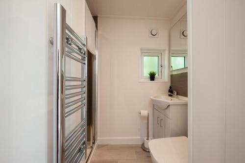 a bathroom with a toilet and a sink at The Stag, Luxury pod with hot tub, Croft4glamping in Oban