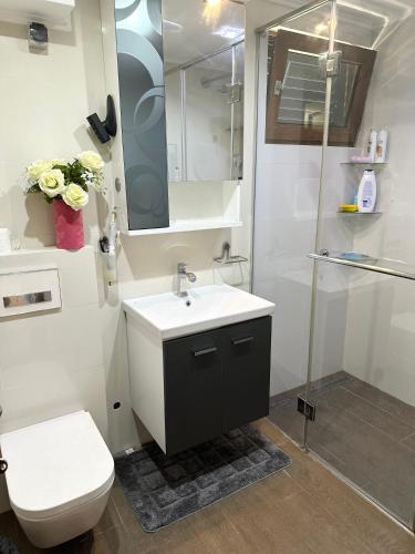 a bathroom with a sink and a toilet and a shower at Apartman Anja in Budva