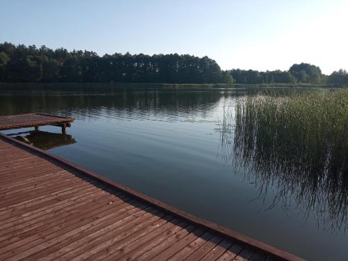 a picnic table sitting on the edge of a lake at Zalesie z pomostem I in Barczewo