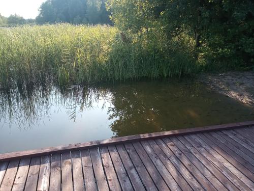 a wooden walkway next to a body of water at Zalesie z pomostem I in Barczewo