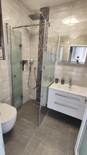 a bathroom with a shower and a toilet and a sink at Viktor rooms and apartments in Rovinj
