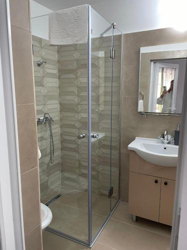 a bathroom with a shower and a sink at Vila Vanesa in Arieşeni