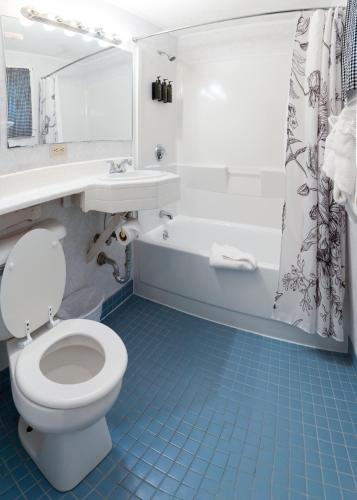 a bathroom with a toilet and a sink and a tub at Acadia Pines Motel in Bar Harbor