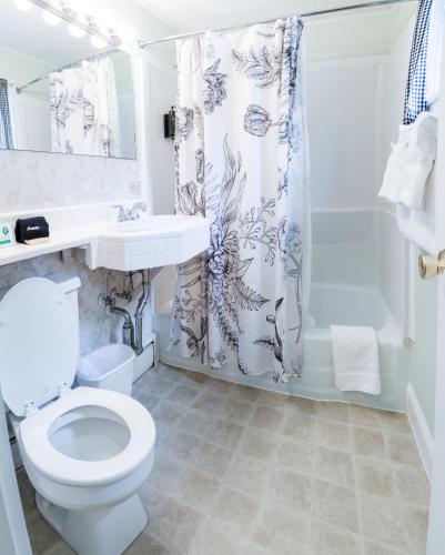a white bathroom with a toilet and a shower at Acadia Pines Motel in Bar Harbor