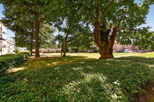a group of trees in a park with grass and flowers at 29 Smithwood close in London