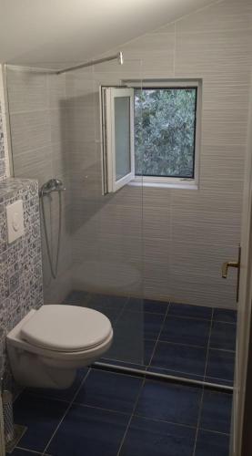 a bathroom with a toilet and a glass shower at Guesthouse Nikoleta 2 in Kotor