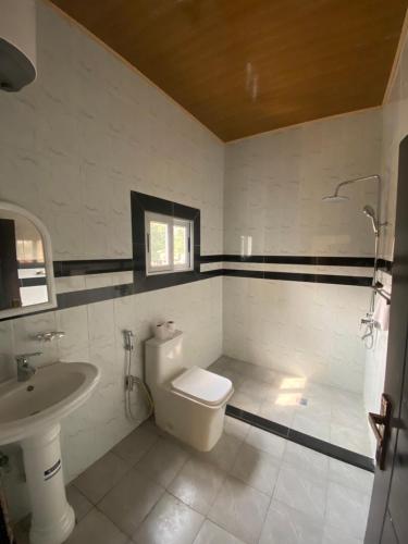 a bathroom with a toilet and a sink at Hôtel rotana in Brazzaville