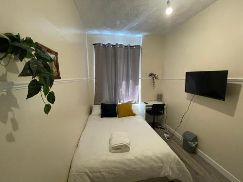 Televisyen dan/atau pusat hiburan di Earls Lodge