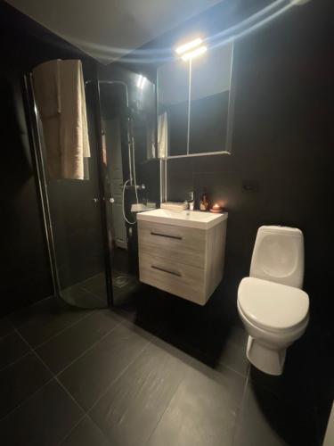 y baño con aseo, lavabo y ducha. en Charming apartment in Ålesund center with free parking en Ålesund