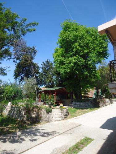 Фотография из галереи Apartments and Bungalows Mimoza Baošići в Херцег-Нови
