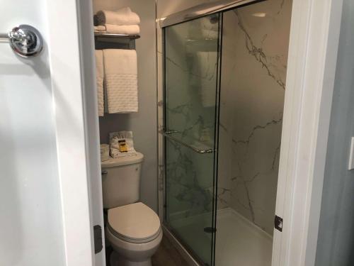 a bathroom with a toilet and a glass shower at Best Western Plus Dana Point Inn-by-the-Sea in Dana Point
