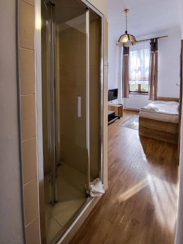 TV a/nebo společenská místnost v ubytování Pension City