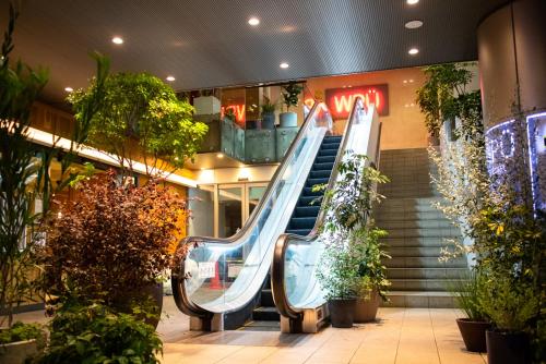 an escalator in a mall with a slide at WPU Shinjuku in Tokyo