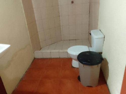 een kleine badkamer met een toilet en een douche bij Casa apartamento palmeras in Balgue