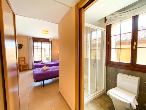 a bathroom with a toilet and a bed in a room at Hostal Ainoa in Berlanga de Duero
