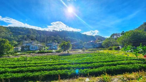 a large green field with houses and mountains in the background at El Cielo by Villa Alejandro in Boquete