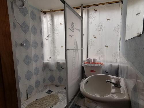 mała łazienka z umywalką i toaletą w obiekcie Hostal backpackers w mieście Chugchilán
