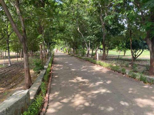 a tree lined path in a park with trees at Serene stay in the lap of Nature in Ahmedabad