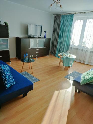 Μια τηλεόραση ή/και κέντρο ψυχαγωγίας στο Apartament nad Nidą