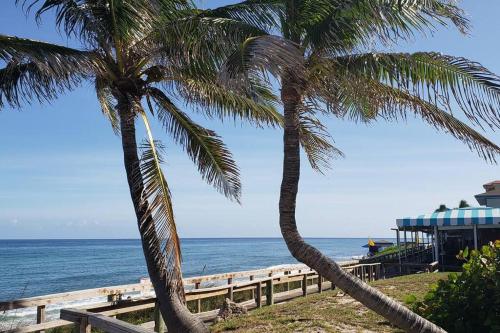 two palm trees on the beach near the ocean at OCEAN VACATION BREEZE in Lantana