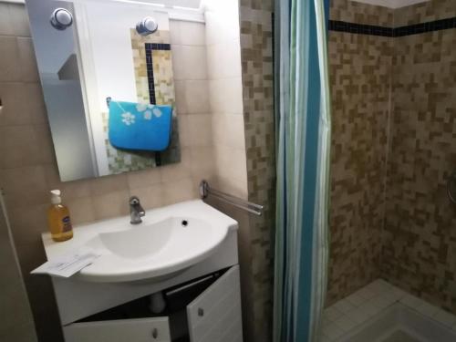 une salle de bain avec un lavabo et une douche dans l'établissement Maison 2 chambres à Saint-André, proche plages et Espagne, terrasse spacieuse, ménage inclus - FR-1-732-36, à Saint-André