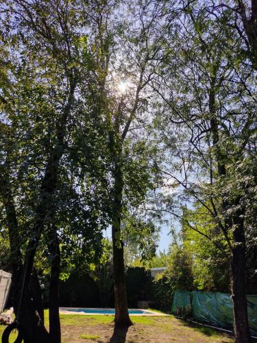 un grupo de árboles con el sol brillando a través de ellos en Casa quinta Los Mellis en La Reja