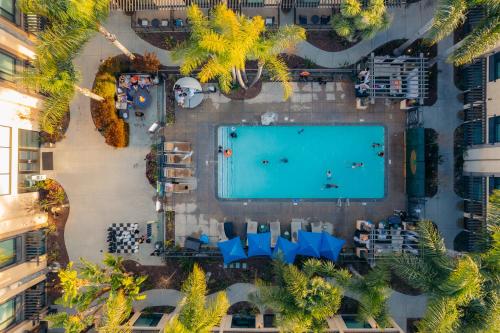 an overhead view of a pool with palm trees at The Cove Hotel in Long Beach