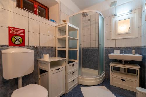 een badkamer met een toilet, een douche en een wastafel bij Holiday house with a swimming pool Smokvica, Korcula - 9297 in Smokvica