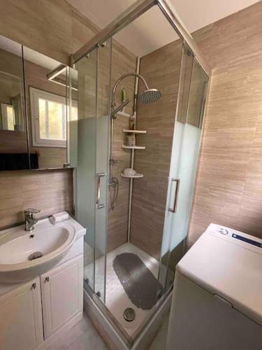 une salle de bain avec douche et lavabo dans l'établissement Charmant 2 pièces avec vue sur mer à Porticcio en Corse du Sud, à Porticcio