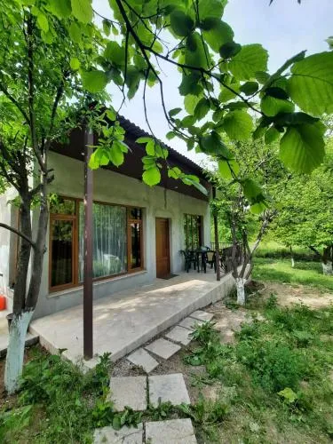 Karen's Bjni house picture