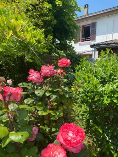 eine Gruppe rosa Rosen in einem Garten in der Unterkunft Gîte de Jean-Benoit 