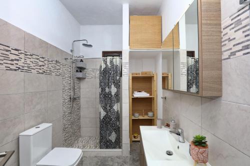 W łazience znajduje się prysznic, toaleta i umywalka. w obiekcie Gallery Home w mieście Skopelos
