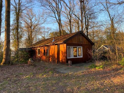 een klein huis midden in een bos bij Basic Natuurhuisje Ommen/Beerze in Beerze