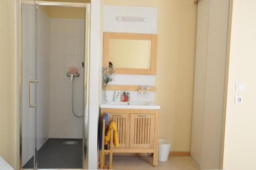 une salle de bain avec un lavabo et un miroir dans l'établissement la ferme de tonton Jules 1, à Entraigues-sur-la-Sorgue