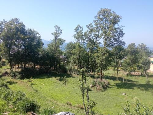a field of grass with trees in the background at Travelodge Homestay in Bīr