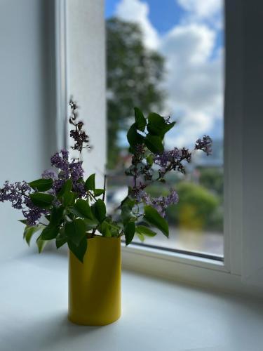 a yellow vase with purple flowers on a window sill at Endla Hostel ja Apartamendid in Haapsalu