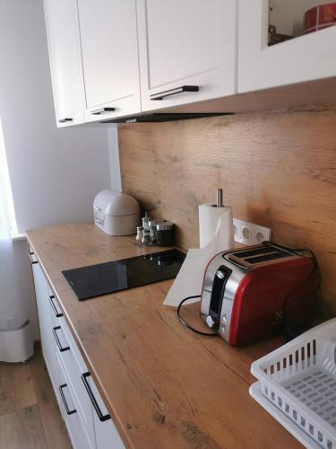 a kitchen with a toaster on a wooden counter at Under the Hill 2 in Bad Muskau