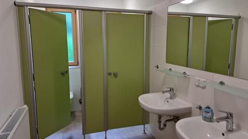 a bathroom with green glass shower doors and a sink at Birkenhof Ashram Lakshmi Zimmer in Hartau