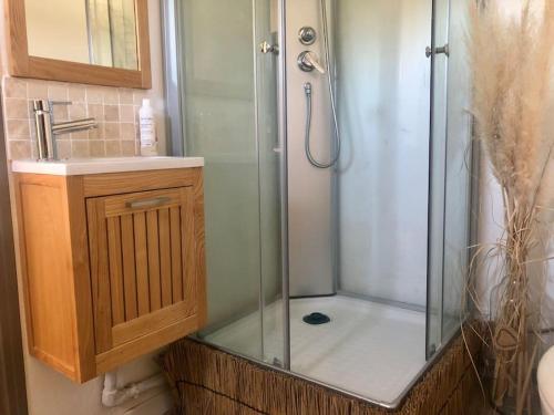 een douche met een glazen deur naast een wastafel bij Le Soustet in Malaucène