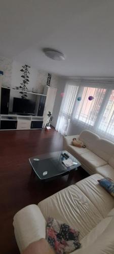 Posezení v ubytování Apartmán Železná Ruda