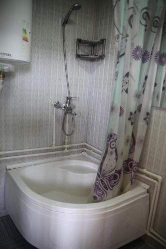 a shower in a small bathroom with a tub at Art Guest House USTO in Bukhara