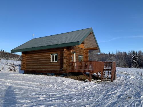 a log cabin with a green roof in the snow at Secluded Log Cabin, 30 min from Chena Hot Springs in Pleasant Valley
