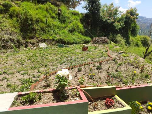 a garden with some plants on a hill at Aagaman Woods Homestay in Shimla
