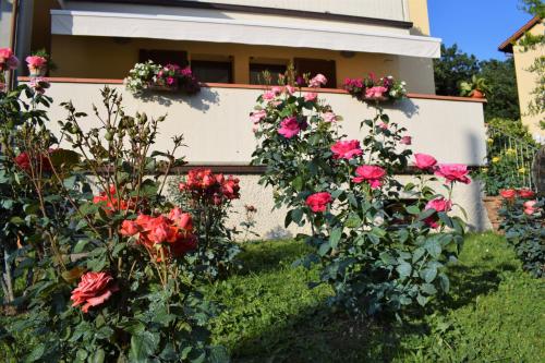 a house with red roses in a garden at La Casa di LiLi in Pontassieve